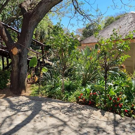 קמפטון פארק Airport Inn Bed And Breakfast מראה חיצוני תמונה