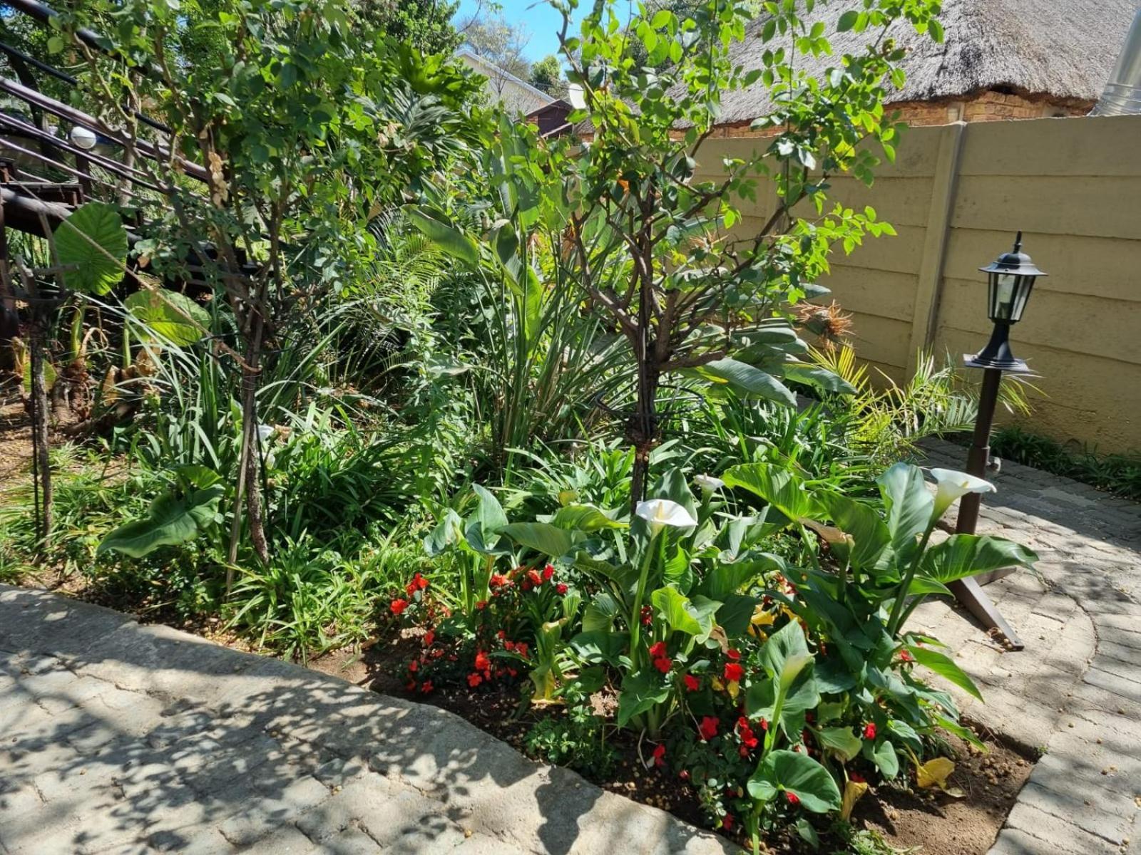 קמפטון פארק Airport Inn Bed And Breakfast מראה חיצוני תמונה