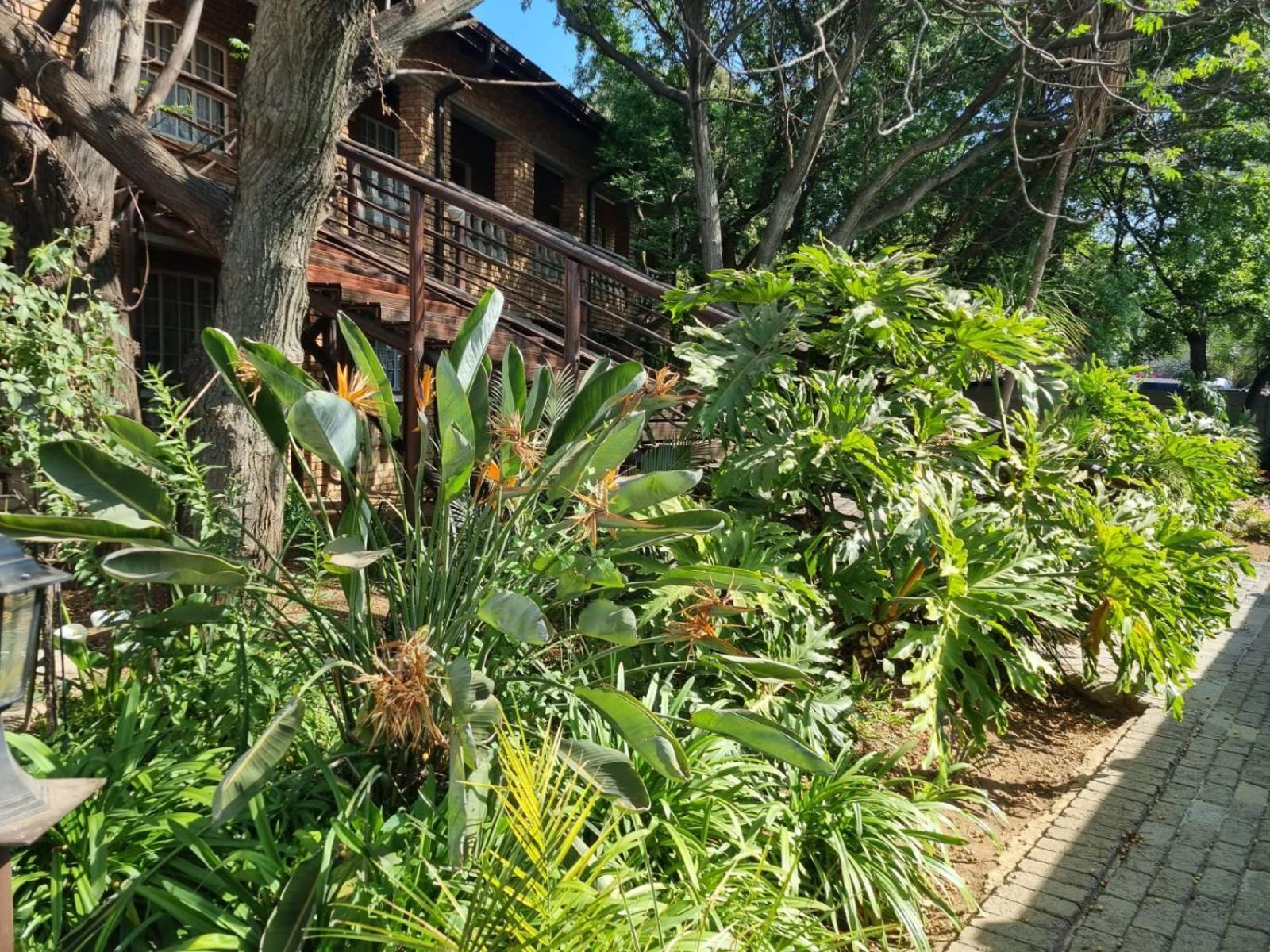 קמפטון פארק Airport Inn Bed And Breakfast מראה חיצוני תמונה